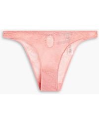 Stella McCartney - Stretch-tulle Mid-rise Briefs - Lyst