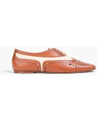 Zimmermann - Eliot Laser-Cut Leather And Canvas Oxford Shoes - Lyst