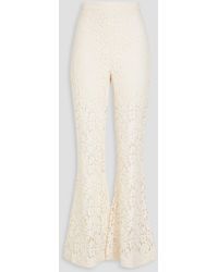 Zimmermann - Cotton-blend Corded Lace Flared Pants - Lyst