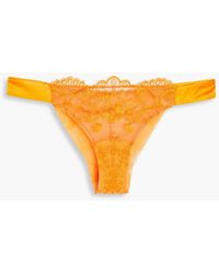I.D Sarrieri - Embroidered Tulle Low-rise Briefs - Lyst