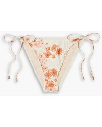Peony - Crochet-trimmed Floral-print Low-rise Bikini Briefs - Lyst