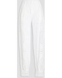 Alberta Ferretti - Broderie Anglaise Cotton-blend Tapered Pants - Lyst
