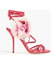 Dolce & Gabbana - Floral-Appliquéd Leather Sandals - Lyst