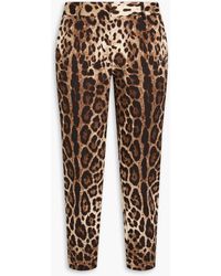 Dolce & Gabbana - Cropped Leopard-print Cotton-blend Twill Tapered Pants - Lyst