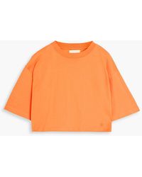Loulou Studio - Gupo Cropped Pima Cotton-jersey T-shirt - Lyst