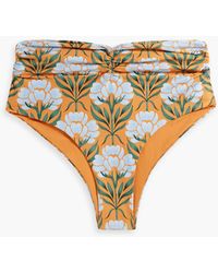 Agua Bendita - Vaiven Semilla Otono Floral-print High-rise Bikini Briefs - Lyst
