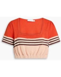 Zimmermann - Cropped Striped Cotton-Blend Top - Lyst