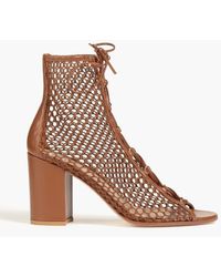 Gianvito Rossi - Leather And Fishnet Ankle Boots - Lyst