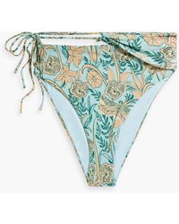 Agua Bendita - Sepia Vuelo Dia Floral-print High-rise Bikini Briefs - Lyst