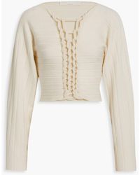 Dion Lee - Cropped Braided Ribbed Wool-blend Sweater - Lyst