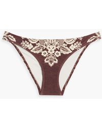Zimmermann - Floral-print Low-rise Bikini Briefs - Lyst