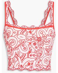 Charo Ruiz - Tessa Cropped Broderie Anglaise Cotton-Blend Top - Lyst