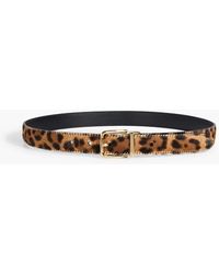 Dolce & Gabbana - Leopard-print Calf Hair Belt - Lyst
