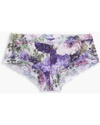 Hanky Panky - Floral-print Stretch-lace Mid-rise Briefs - Lyst