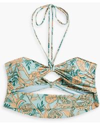 Agua Bendita - Amatista Vuelo Dia Cutout Floral-print Halterneck Bikini Top - Lyst