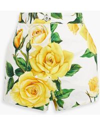 Dolce & Gabbana - Floral-Print Cotton-Poplin Shorts - Lyst