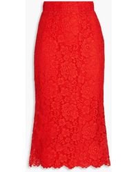 Dolce & Gabbana - Cotton-blend Corded Lace Midi Skirt - Lyst