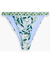 Agua Bendita - Lluvia Dos Gardenias Celeste Embellished Floral-print Mid-rise Bikini Briefs - Lyst
