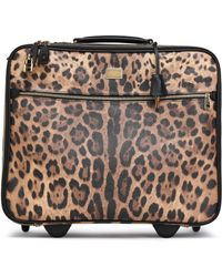 Dolce & Gabbana Luggage and suitcases for Women | Online Sale up to 31% off  | Lyst