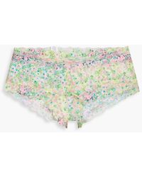 Hanky Panky - Floral-print Stretch-lace Low-rise Briefs - Lyst