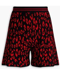 RED Valentino - Jacquard-knit Wool And Cotton-blend Shorts - Lyst