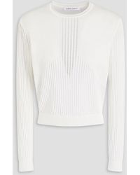 Alberta Ferretti - Pointelle-knit Cotton Sweater - Lyst