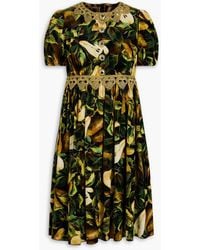 Dolce & Gabbana - Lace-trimmed Floral-print Cotton-blend Velvet Mini Dress - Lyst