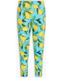 Dolce & Gabbana - Printed Cotton-Blend Twill Tapered Pants - Lyst