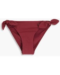 Zimmermann - Bow-detailed Low-rise Bikini Briefs - Lyst