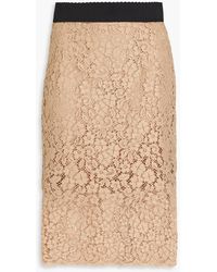 Dolce & Gabbana - Cotton-blend Corded Lace Pencil Skirt - Lyst