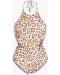Zimmermann - Cutout Leopard-print Halterneck Swimsuit - Lyst