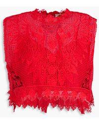 FARM Rio - Toucan Cropped Macramé Lace Top - Lyst