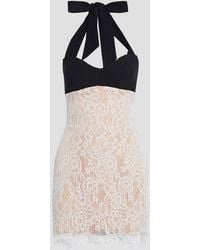 Rasario - Crepe-paneled Corded Lace Halterneck Mini Dress - Lyst