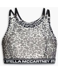 Stella McCartney - Leopard-print Stretch-mesh Bralette - Lyst