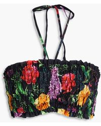 Charo Ruiz - Leta Cropped Floral-Print Cotton-Blend Voile Halterneck Top - Lyst
