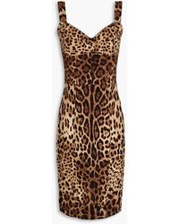 Dolce & Gabbana - Kleid aus crêpe und leopardenprint und stretch-mesh-einsatz - Lyst