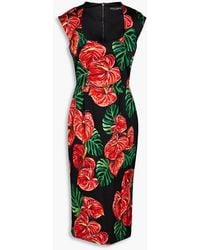 Dolce & Gabbana - Floral-print Stretch-silk Satin Midi Dress - Lyst