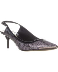 enzo angiolini kailee