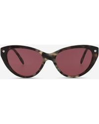 McQueen - Cat Eye Acetate 55 Mm Ladies Sunglasses Am0189S-30006850004 - Lyst