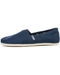 men's toms size 8