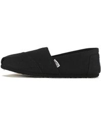 toms honey bee canvas