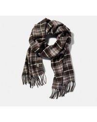 Timberland - Cape Neddick Check Scarf With Gift Box - Lyst