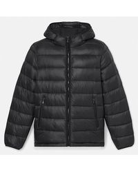 Timberland - Garfield Durable Water-Repellent Puffer Jacket For - Lyst