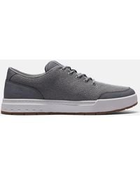 Timberland - Maple Grove Knit Trainer - Lyst