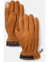 Timberland - Winter Hill Nubuck Glove - Lyst