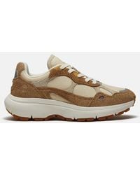 Timberland - Hazel Lane Trainer For Women In Light Beige, Woman, Beige, Size: 3.5 - Lyst