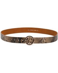 TJ Maxx - Leather Python Print Tone Ring Buckle Belt For Leather - Lyst