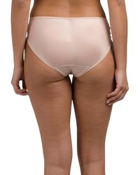 TJ Maxx - Padded Buty Panty For Spandex/Polyester - Lyst