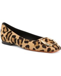 TJ Maxx - Printed Ballet Flats With Embellished Toe Cap For Leather - Lyst