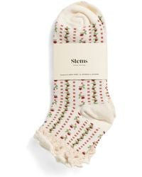 TJ Maxx - Mini Floral Lace Ruffle Socks For Cotton - Lyst